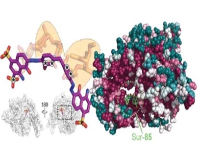 Lavender & Fennel Oil Twin Pack