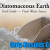 Diatomaceous Earth 50G