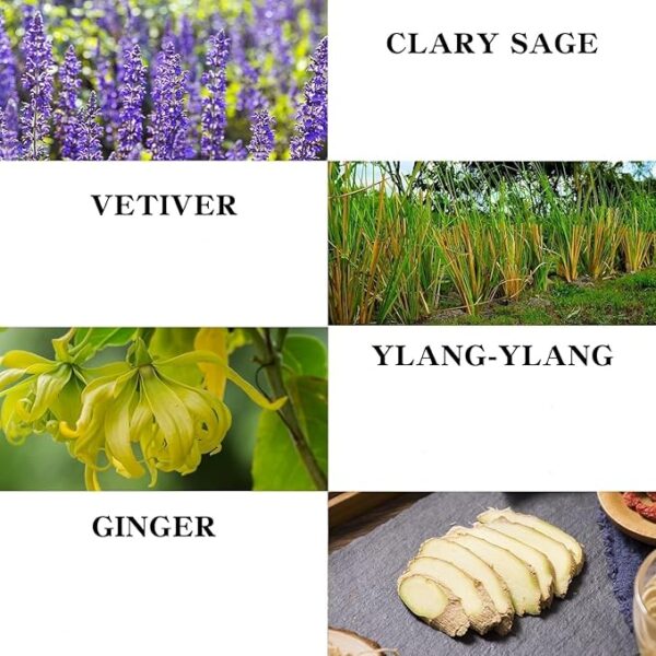 Massage Oil for Relaxing Ginger 8.8 fl.oz - 250g