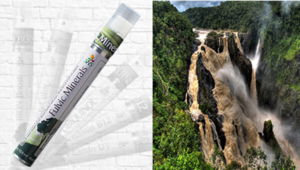 SHS Fulvic Minerals Spray